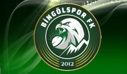 12Bingölspor ismini ve logosunu değişti!