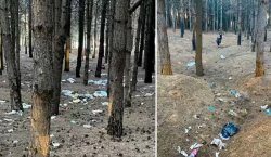 Bingöl`de ormanlık alanı çöplerden arındırdılar
