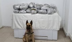 Bingöl`de kamyonla uyuşturucu sevkiyatı! 49 kilo esrar ele geçirildi