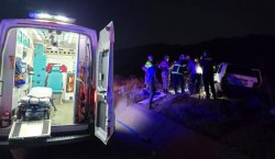 Bingöl`de otomobil ata çarptı: 2 yaralı