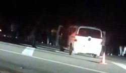 Bingöl`de hafif ticari araç ata çarptı: 1 Ölü, 1 Yaralı