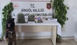 Bingöl`de uyuşturucuyla mücadele
