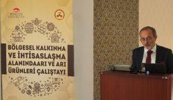 Bingöl`de Arı ve Arı Ürünleri Çalıştayı