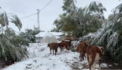 Bingöl`ün yüksekleri beyaza büründü
