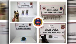 Bingöl`de bir haftada 29 narkotik olaya müdahale