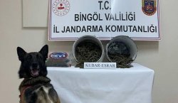 Bingöl`de 2 kilo esrar ele geçirildi: 1 tutuklama