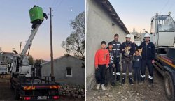 Elektrik direğinde mahsur kalan kediyi ekipler kurtardı