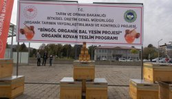 Bingöl`de arıcılara 435 organik kovan dağıtıldı