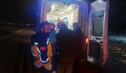 Bingöl`de otomobil domuz sürüsüne çarptı: 3 yaralı