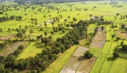 2B arazileri yeniden satışa çıkıyor