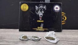 Bingöl`de uyuşturucu operasyonu: 1 tutuklama