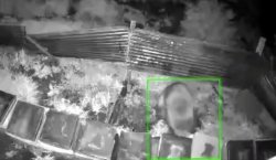 Kış uykusundan kalkan ayı, kovanlara saldırdı