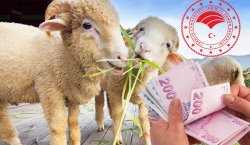 Kırsalda Bereket Projesi Başlıyor