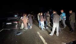 Bingöl`de Otomobil Ata Çarptı: 4 Yaralı