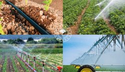 Bingöl`de Çiftçi ve Yatırımcılara Hibe Fırsatı Anlatılacak