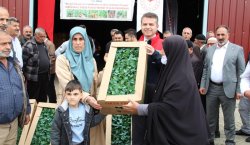 Bingöl`de 570 Üreticiye 330 Bin Sebze Fidesi Dağıtıldı