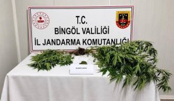 Bingöl`de 6 hükümlü yakalandı