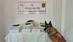 Bingöl`de uyuşturucu ve kaçakçılık operasyonu!