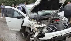 Bingöl`de otomobil ağaca çarptı: 2 yaralı