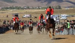 Karlıova`da atlar yarıştı, Vali Çelik de piste çıktı