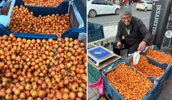 Sonbahar meyvesi Bingöl`de ilgi odağı oldu