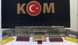 Bingöl`de yakalanan 29 şüpheliden 3`ü tutuklandı