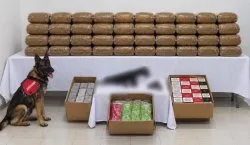 Bingöl`de 4 kişi tutuklandı!